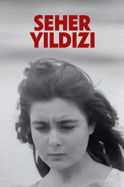 Movie poster for Seher Yıldızı (1959)