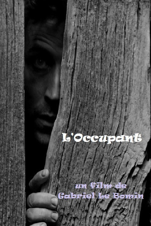 Movie poster for L'Occupant (2008)