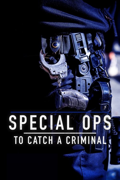 Series poster for Special Ops: To Catch A Criminal (2025)