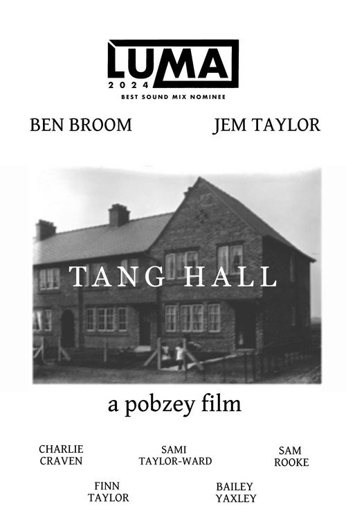 Movie poster for Tang Hall