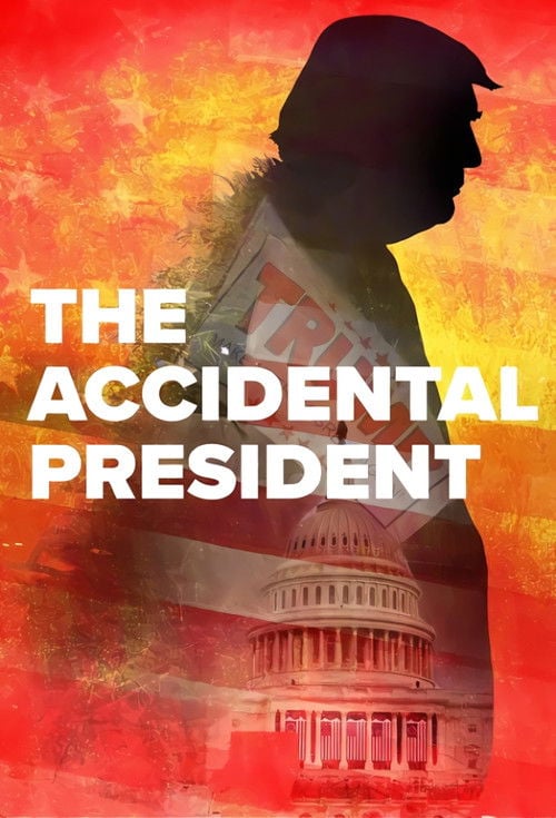 Movie poster for The Accidental President (2020)