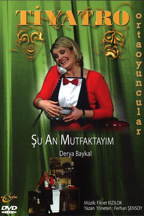 Movie poster for Şu An Mutfaktayım (1999)
