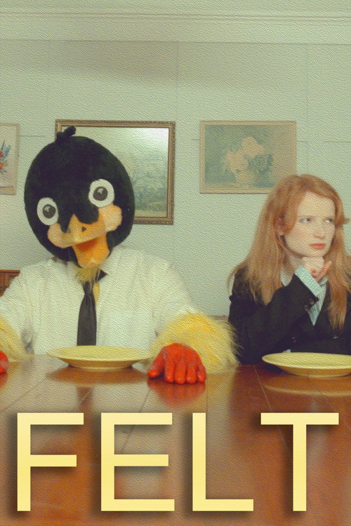 Movie poster for Felt