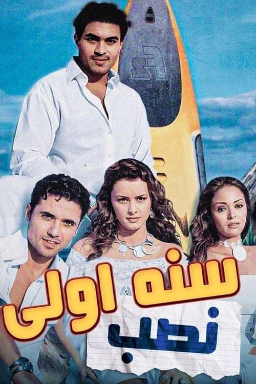 Movie poster for First Year of Deception (2004)