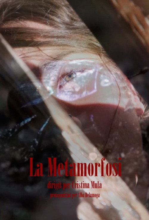 Movie poster for La Metamorfosi