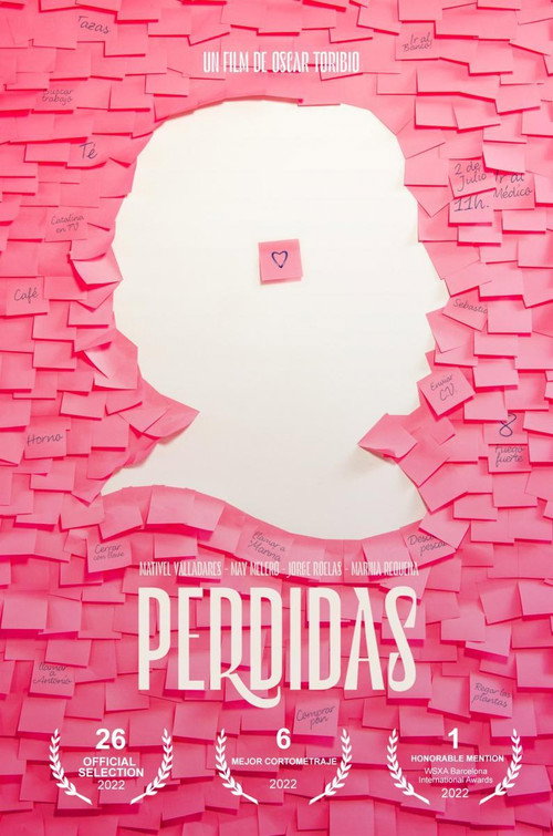 Movie poster for Perdidas