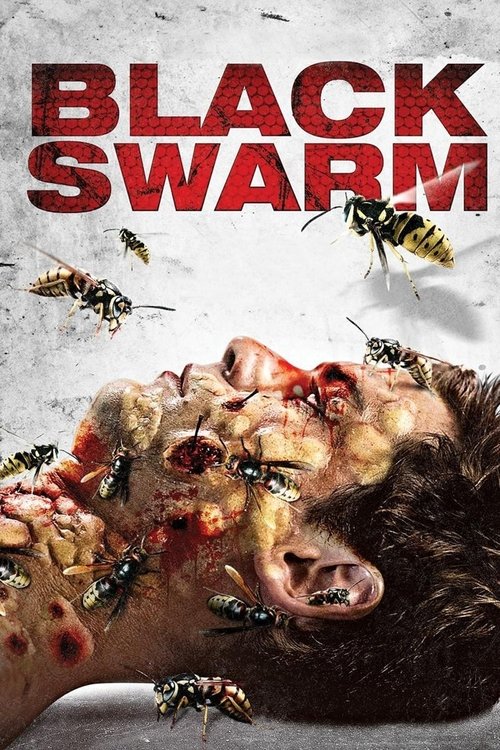 Movie poster for Black Swarm (2007)