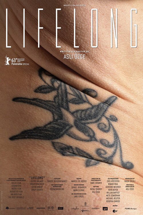 Movie poster for Lifelong (2013)