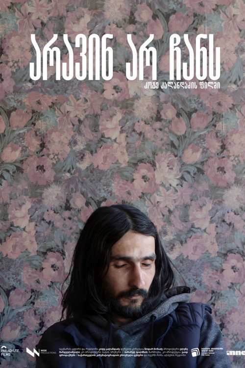 Movie poster for Nobody In Sight (2025)