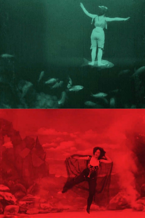 Movie poster for The Dancer's Dream (1905)