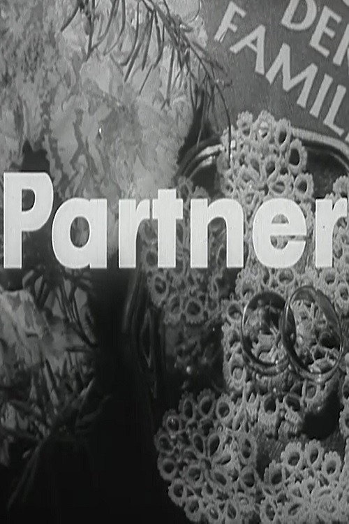 Movie poster for Partner (1965)