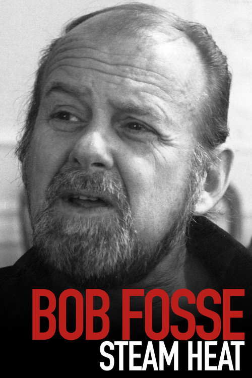 Movie poster for Bob Fosse: Steam Heat (1990)