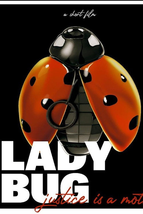 Movie poster for Ladybug (2024)