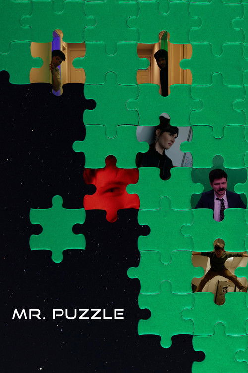 Movie poster for Mr. Puzzle (2026)