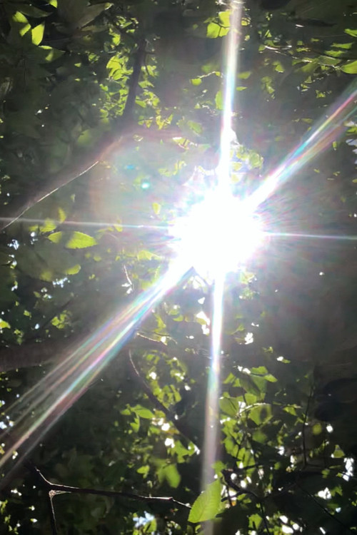 Movie poster for Sweet Melancholy (2021)