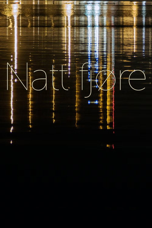 Movie poster for Natt fjøre (2019)