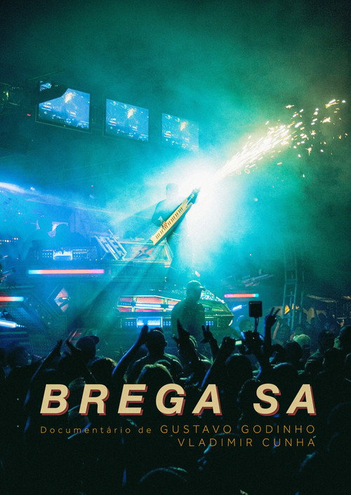 Movie poster for Brega S/A (2009)