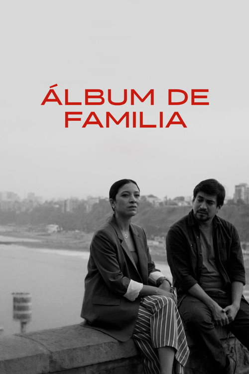 Movie poster for Family Album (2024)
