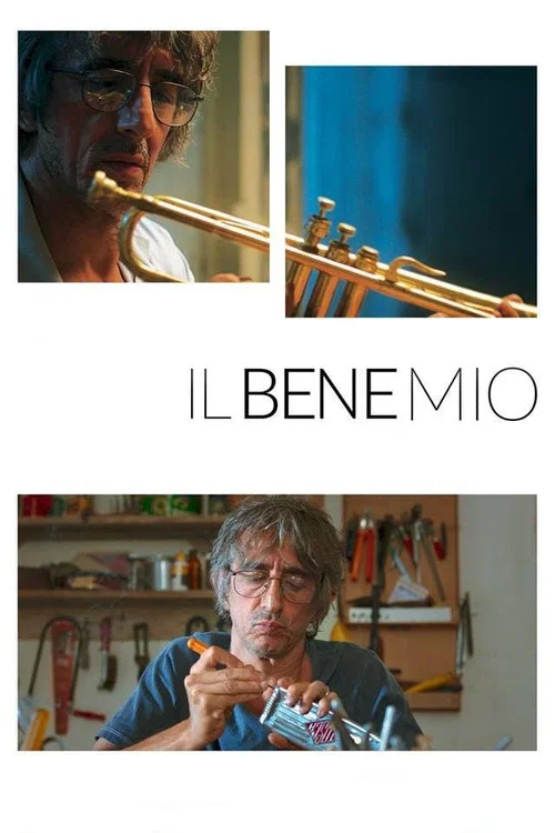 Movie poster for Il bene mio (2018)