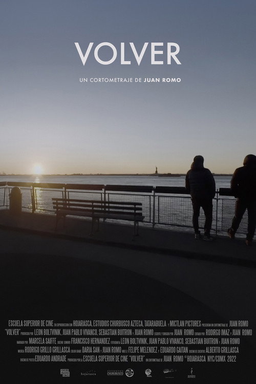 Movie poster for Volver