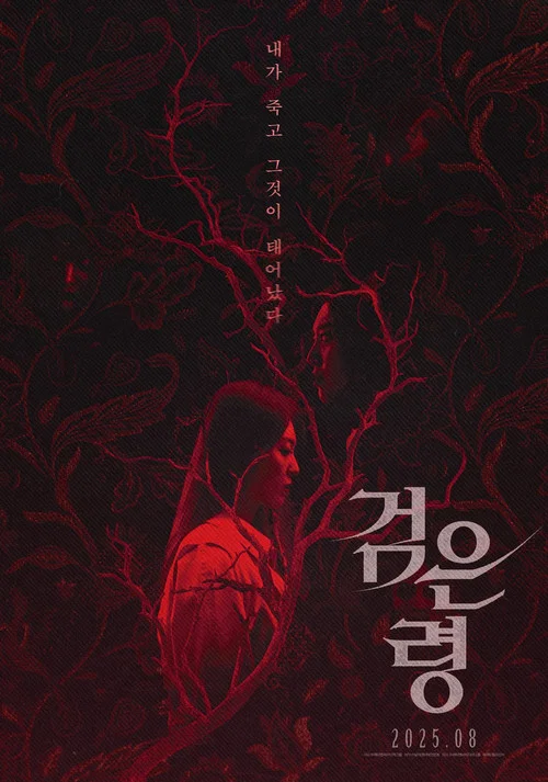 Movie poster for Rhapsody for the Dead (2025)