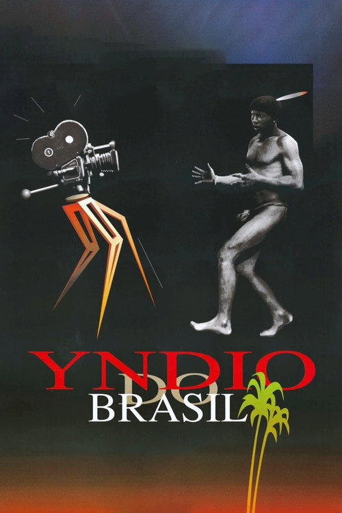 Movie poster for Our Indians (1995)