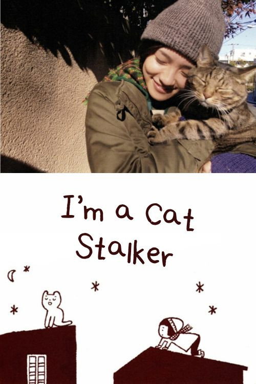 Movie poster for I’m a Cat Stalker (2009)