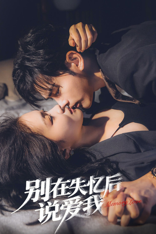 Memory Love poster