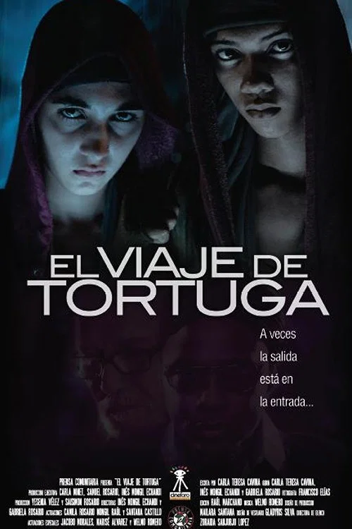 Movie poster for El viaje de Tortuga (2010)