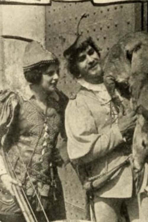 Movie poster for Robin Hood (1913)