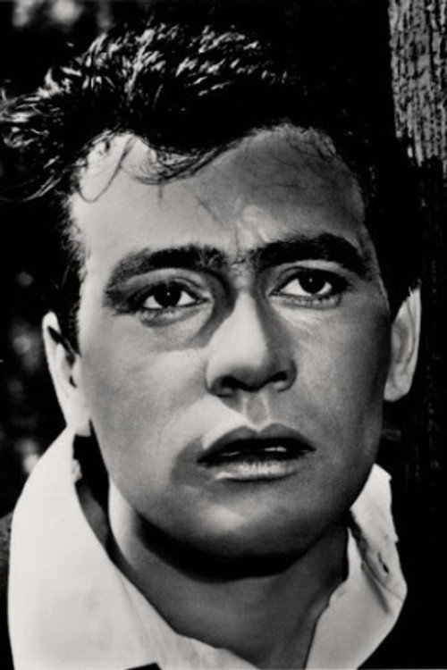 Photo of Vasile Ichim, Acting
