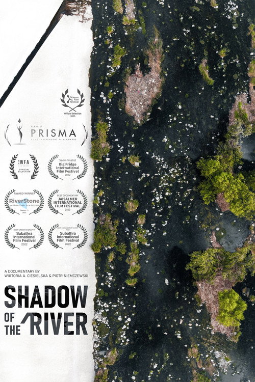 Movie poster for Shadow of the River (2022)