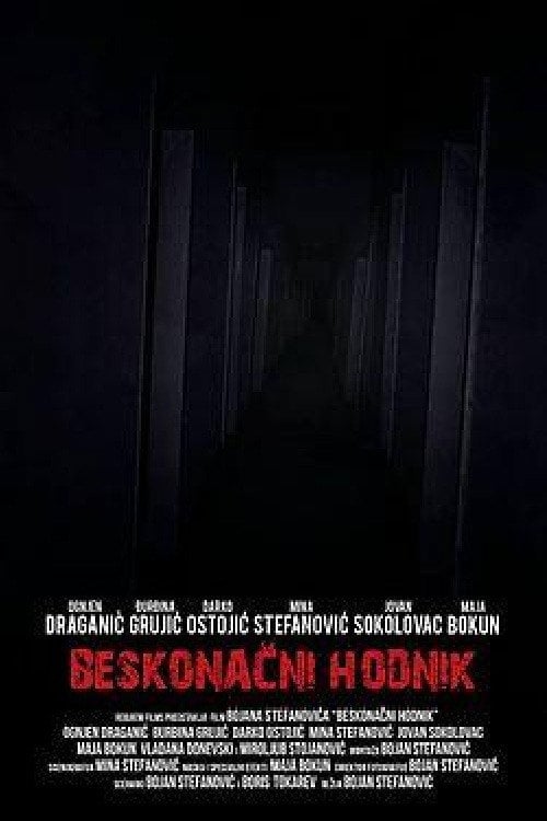 Movie poster for Endless Corridor (2013)