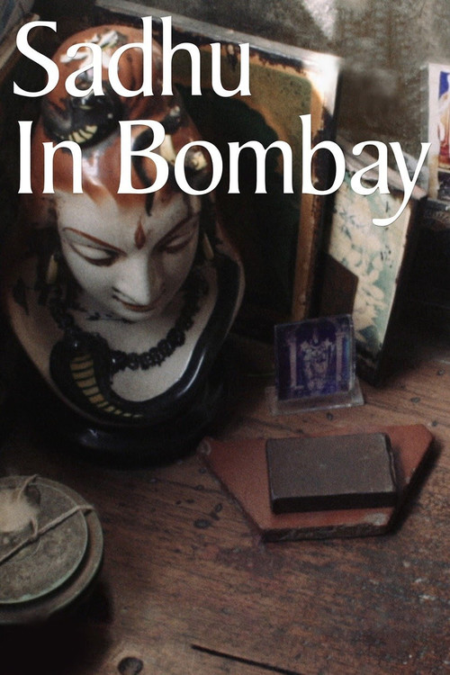 Movie poster for Sadhu in Bombay (2017)