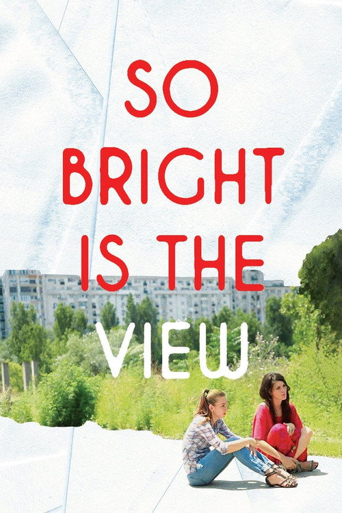 Movie poster for So Bright Is the View (2014)