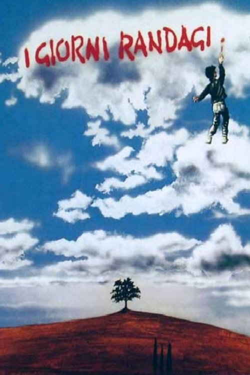 Movie poster for Stray Days (1988)