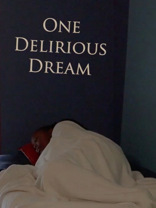 Movie poster for One Delirious Dream (2023)