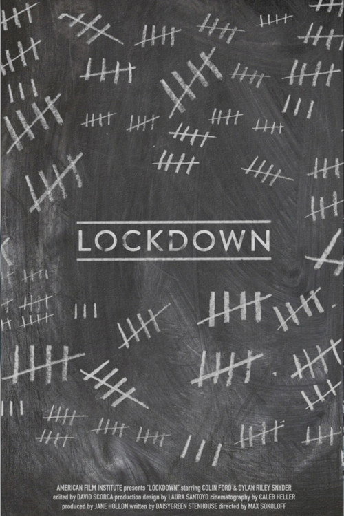 Movie poster for Lockdown (2016)