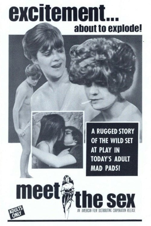 Movie poster for Meet The Sex (1969)