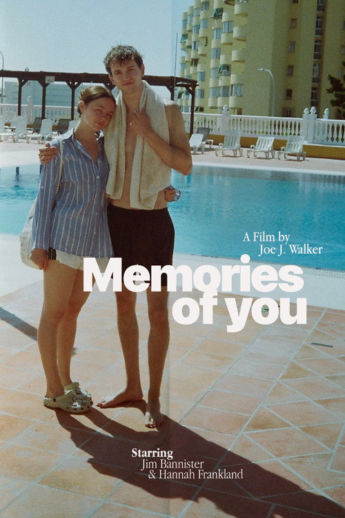 Movie poster for Memories of You