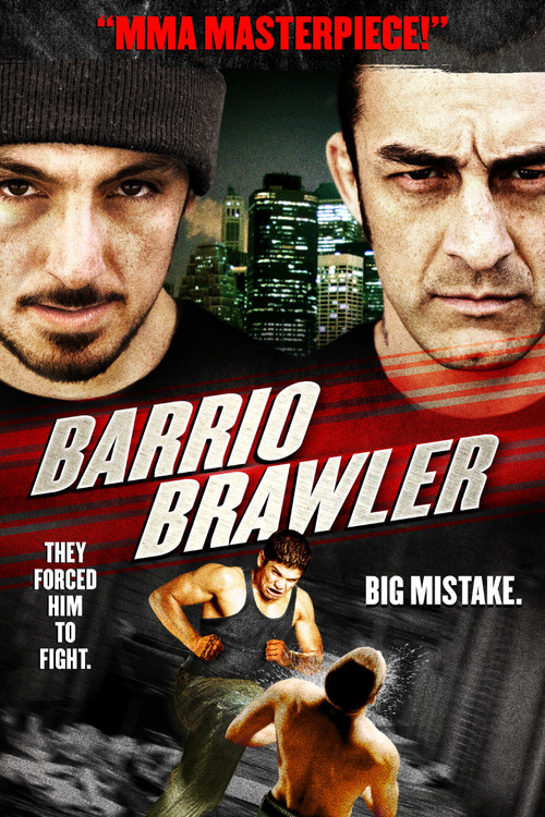 Movie poster for Barrio Brawler (2013)