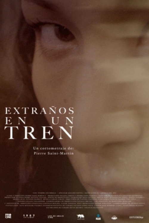 Movie poster for Extraños en un tren (2020)
