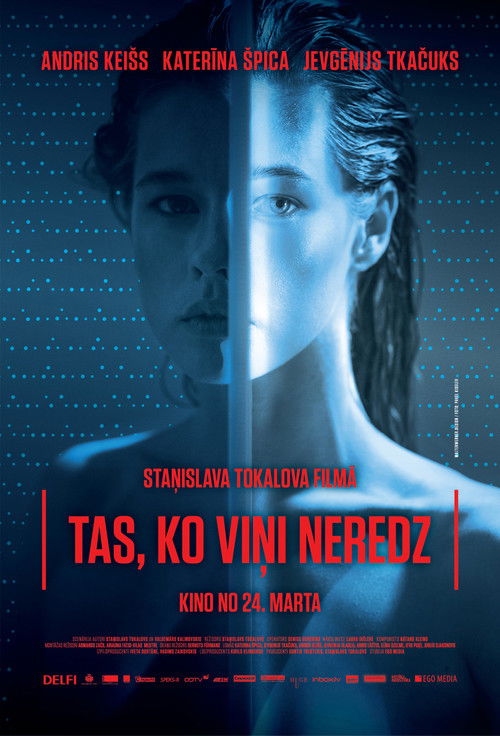 Movie poster for What Nobody Can See (2017)