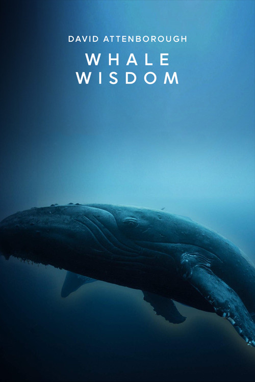 Movie poster for Whale Wisdom (2018)