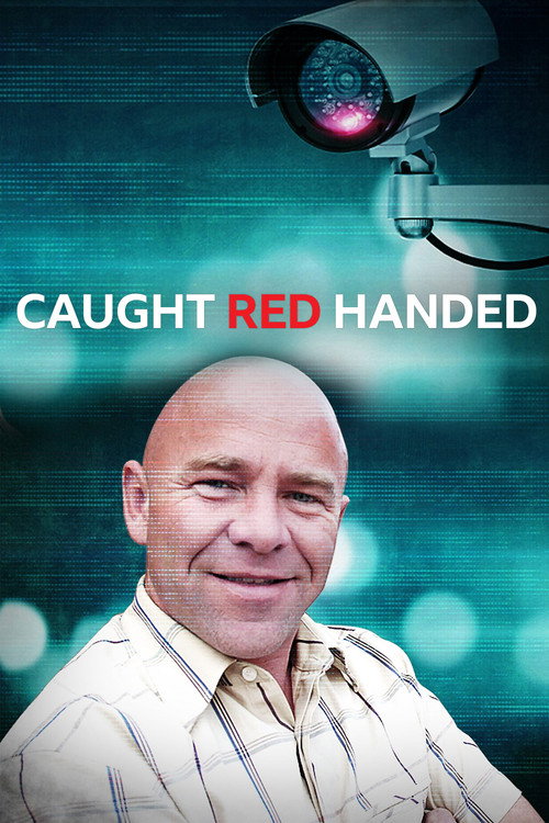 Series poster for Caught Red Handed (2013)