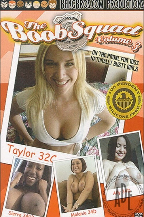 Movie poster for The Boob Squad 3 (2003)
