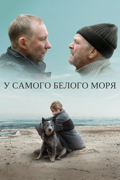 Movie poster for By The White Sea (2022)