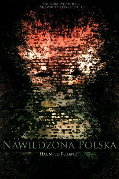 Movie poster for Haunted Poland (2011)