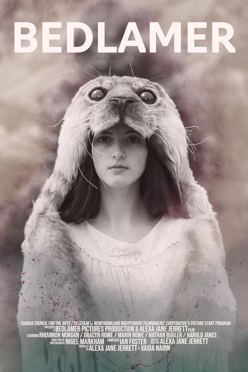 Movie poster for Bedlamer (2024)