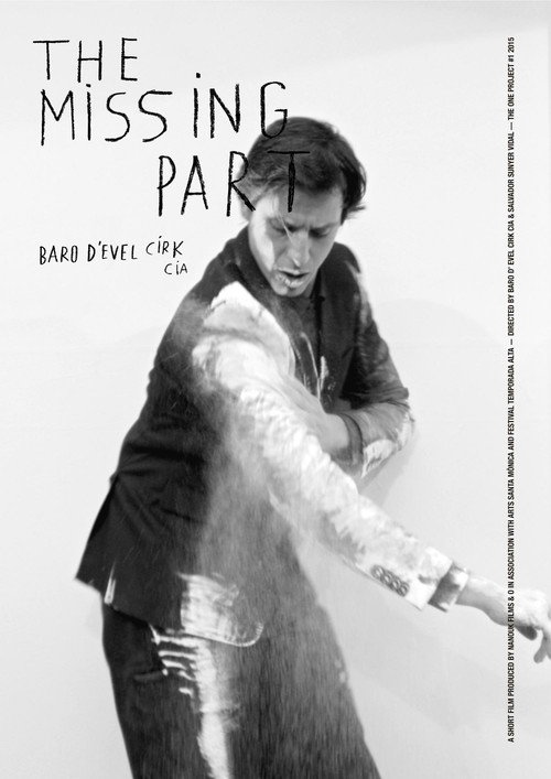 Movie poster for The Missing Part (2015)